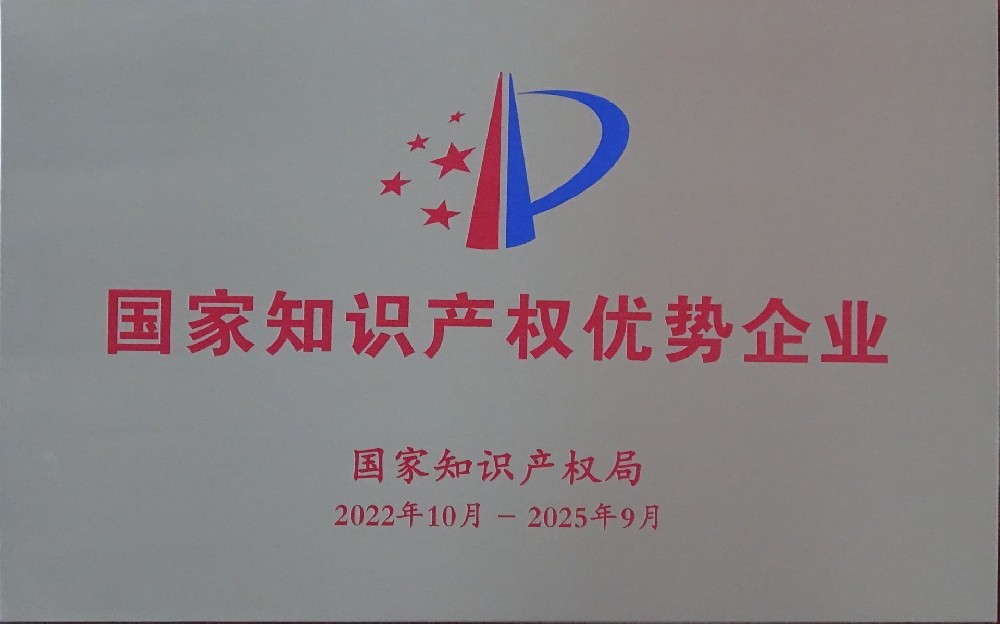 我司荣获帕拉根公司“全价值链杰出贡献奖”
